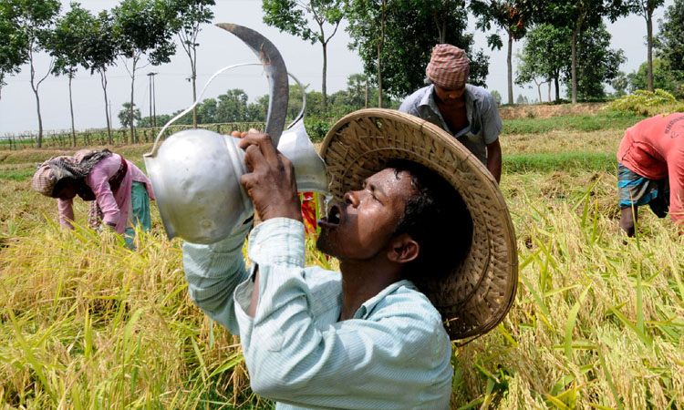 ৪০ ডিগ্রির কাছে তাপমাত্রা, আরও বাড়তে পারে