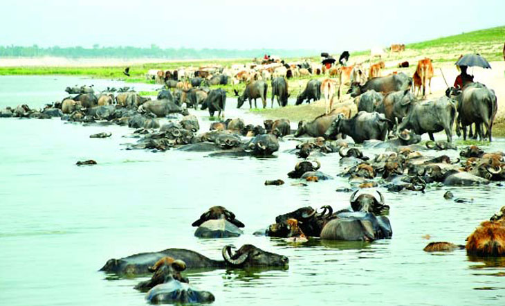 আবারও দাবদাহ