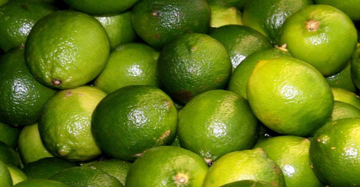 মেদ কমাতে প্রতিদিন খেতে হবে লেবু