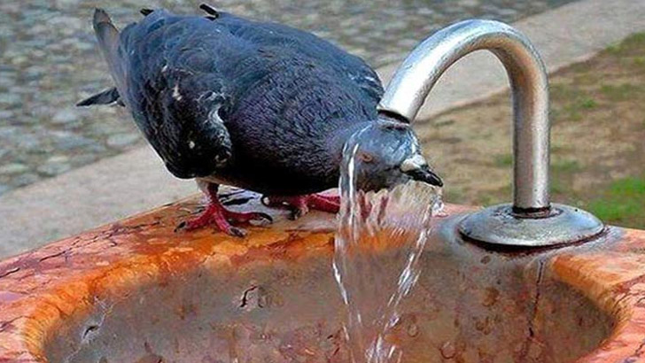 দুর্বিষহ গরম থাকবে আরও ২-৩ দিন