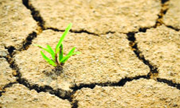 মরুকরণের ঝুঁকিতে বাংলাদেশ