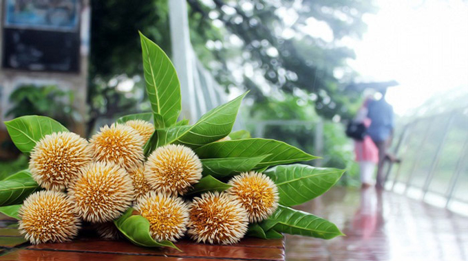 আষাঢ়ের প্রথম দিনে স্বস্তির বৃষ্টি