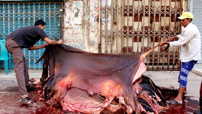 কোরবানির পশুর চামড়ার দাম নির্ধারণ