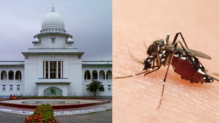 সারাদেশে মশার ওষুধ ছিটানোর নির্দেশ হাইকোর্টের