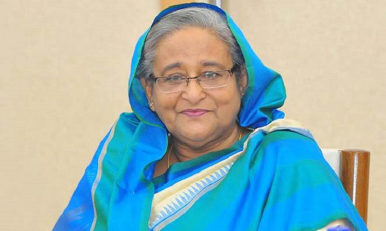 ভারত সফর শেষে ঢাকায় পৌঁছেছেন প্রধানমন্ত্রী